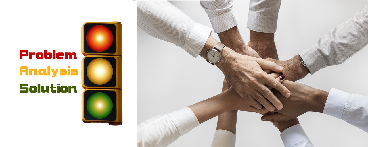 Mond梦都蓝莓：哪个平台代理专利好做