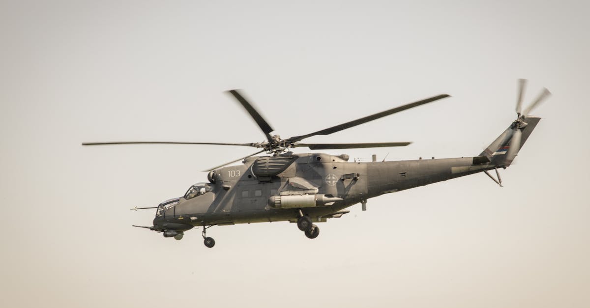 雾森：柘城正规商标注册代理