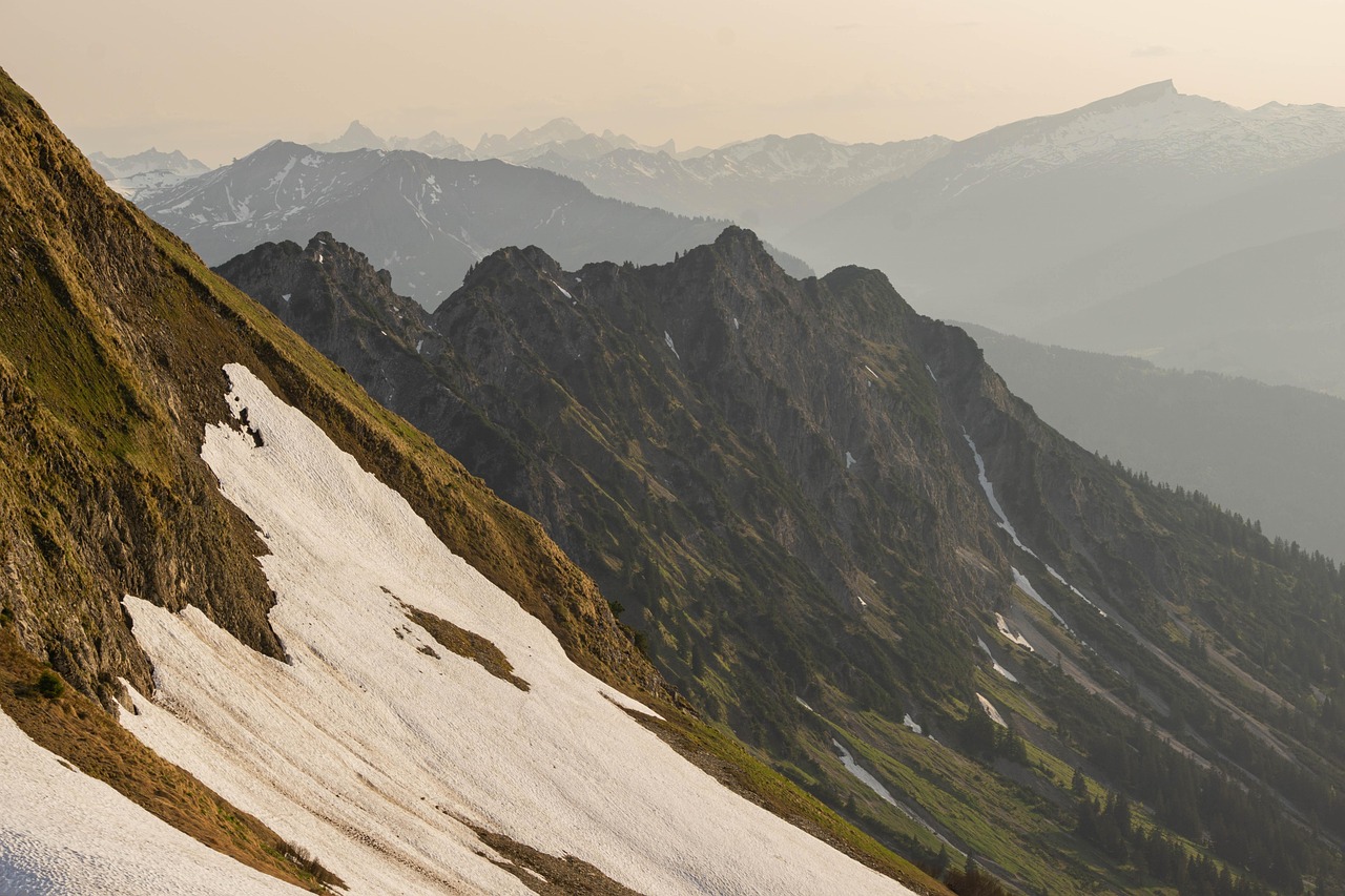 华润娱乐,注册|廊坊清香型白酒代理平台