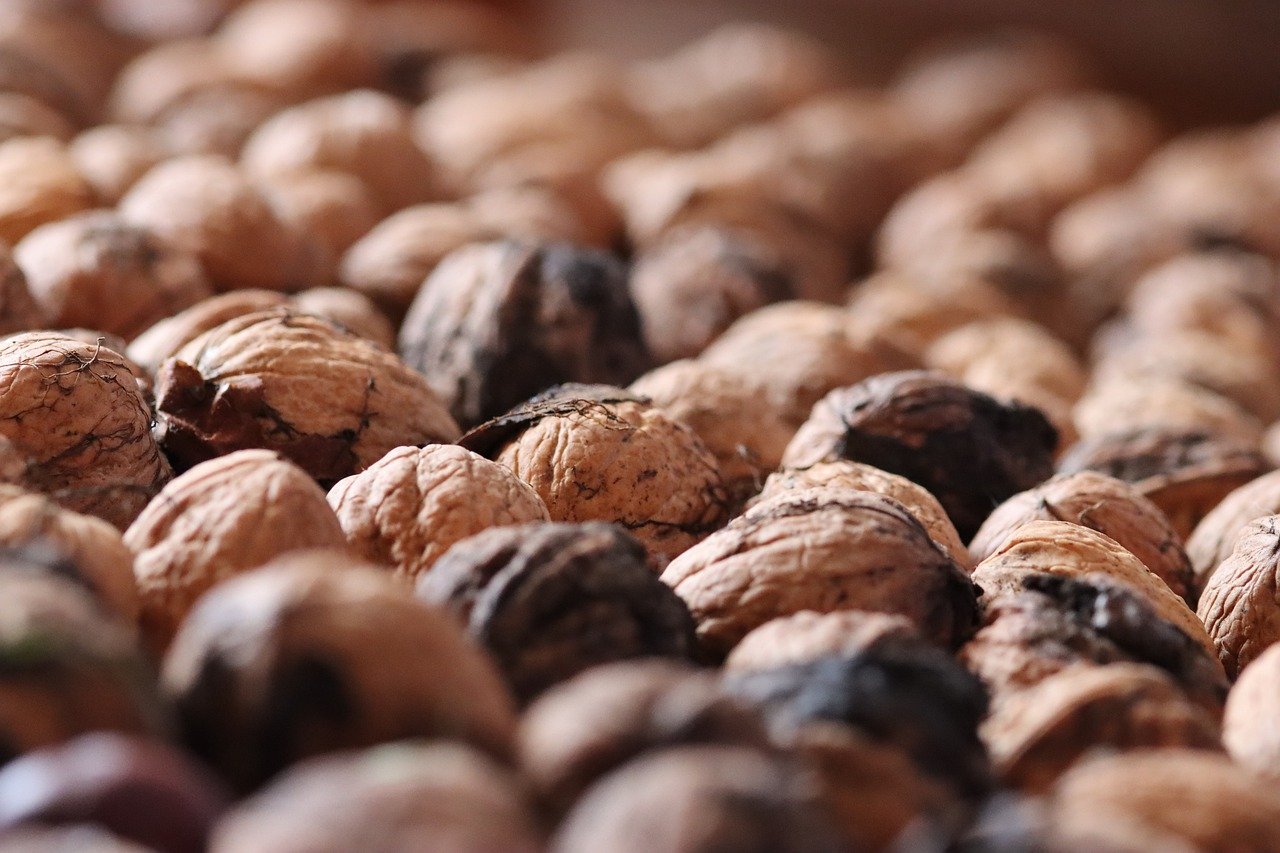 短信服务平台:提高客户满意度的关键