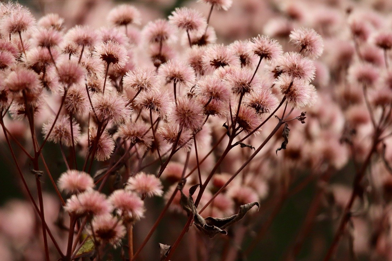 一号站平台代理人好吗