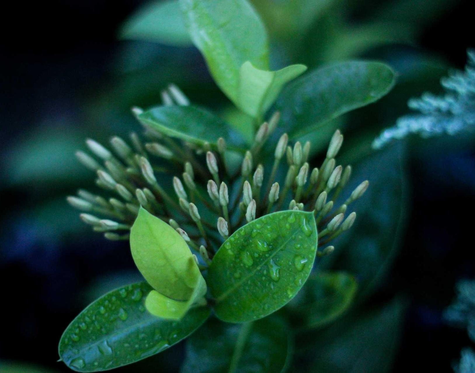 如何适应新的企业营销趋势